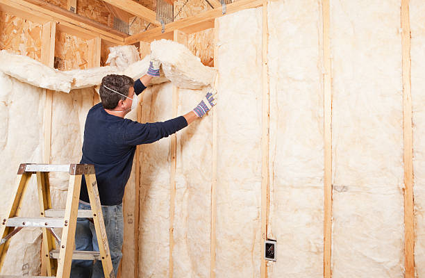 Trusted Rolesville, NC Insulation Services Experts